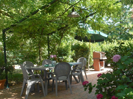 Roof Top Gardens & Green Roof Tops