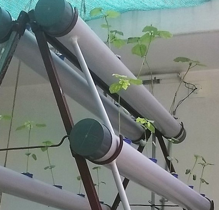 service-urban-greentech